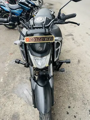 ইয়ামাহা এফজেডএস ভি৪ ২০২৪ গ্রে