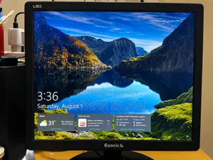 Esonic 17 Inch Monitor