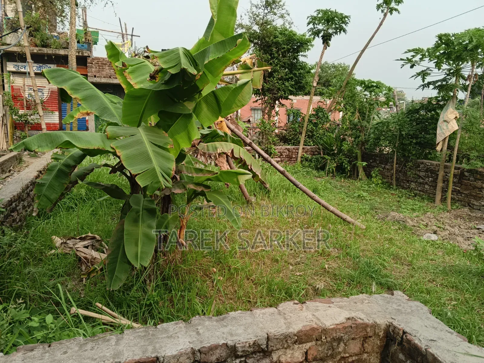 জমিটা বিক্রি করে দিব লোকেশন কেরানীগঞ্জ ভাগনা