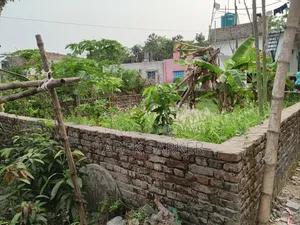 জমিটা বিক্রি করে দিব লোকেশন কেরানীগঞ্জ ভাগনা