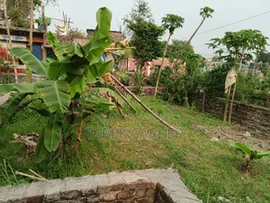 জমিটা বিক্রি করে দিব লোকেশন কেরানীগঞ্জ ভাগনা