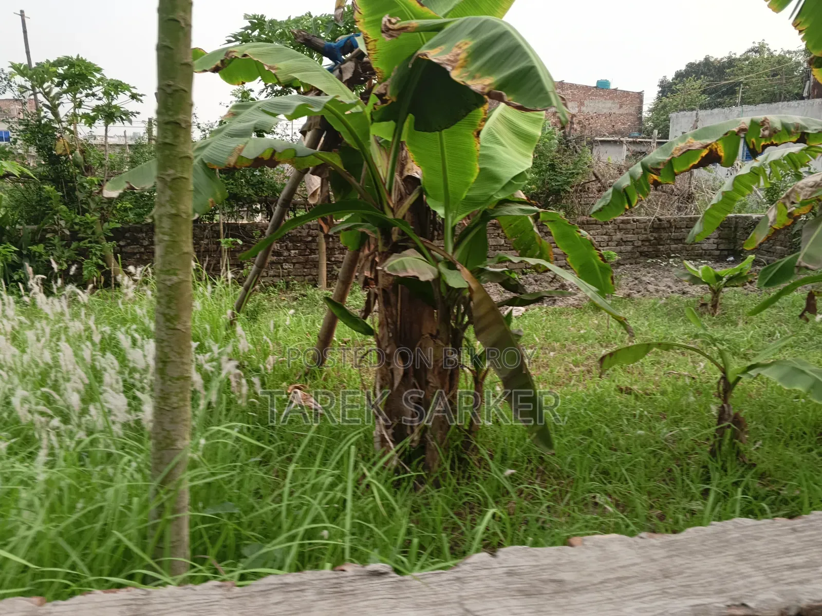জমিটা বিক্রি করে দিব লোকেশন কেরানীগঞ্জ ভাগনা