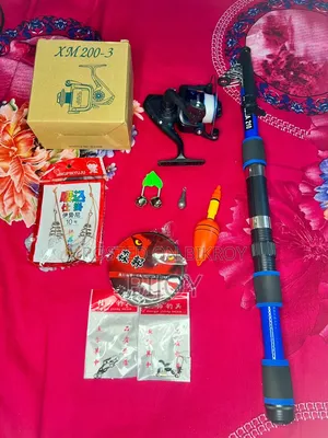 Fishing Rod and Reel
