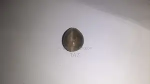 অরজিনাল ক্যাটস আই স্টোন অব্যবহৃত