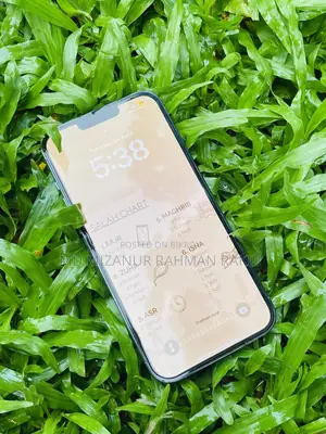 Apple iPhone 13 Pro Max 256 GB Blue