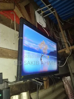 Television