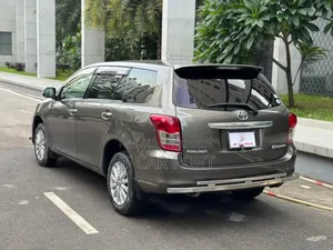 Toyota Axio 2010 Gray