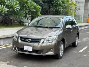 Toyota Axio 2010 Gray