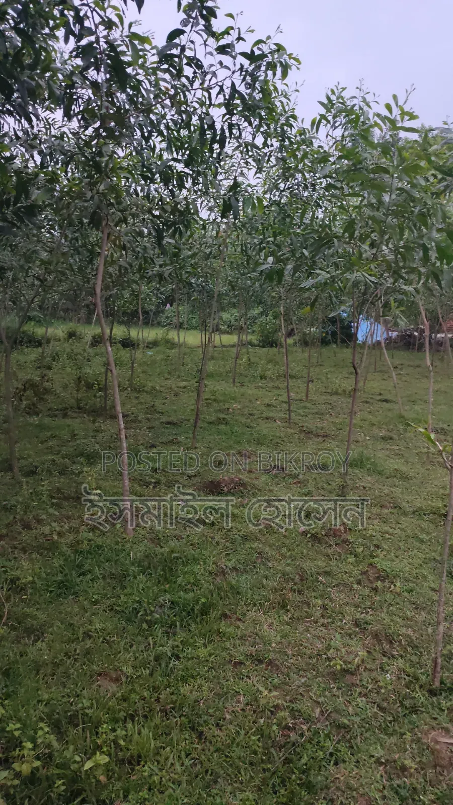 Urgent Land for Sale - 21 Decimal