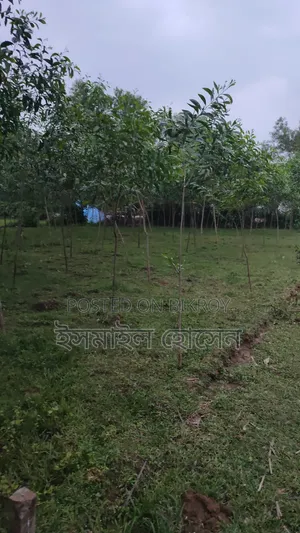 Urgent Land for Sale - 21 Decimal