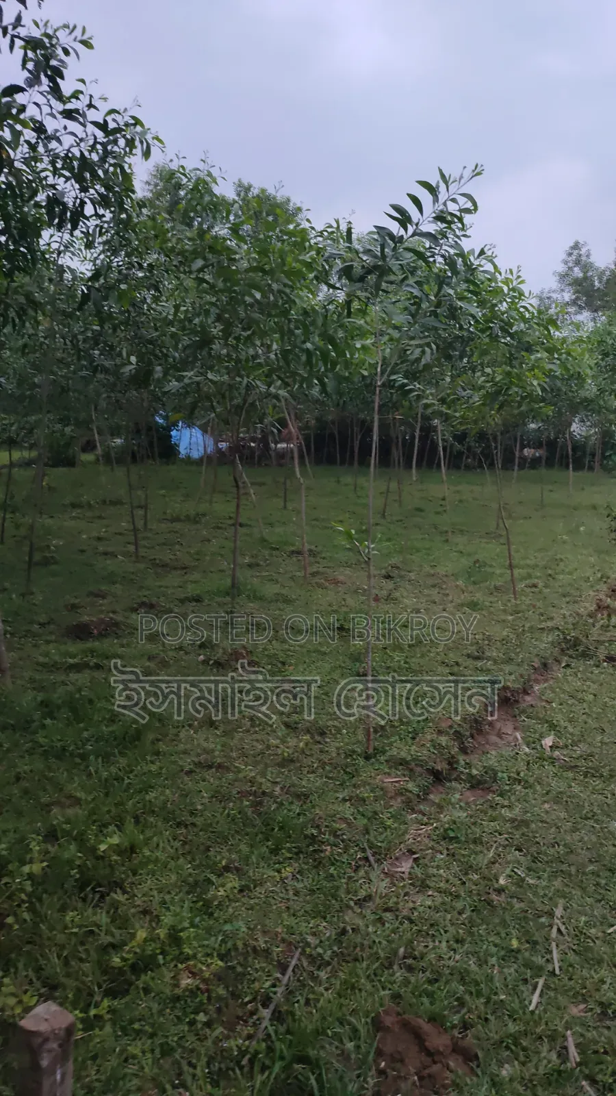 Urgent Land for Sale - 21 Decimal