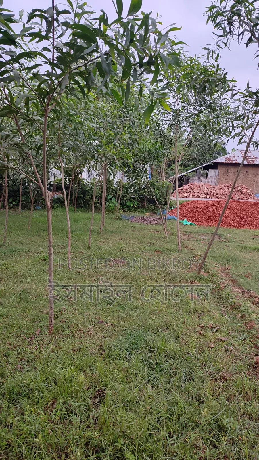 Urgent Land for Sale - 21 Decimal