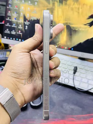 অ্যাপল আইফোন ১৫ প্রো ম্যাক্স ২৫৬ জিবি সিলভার