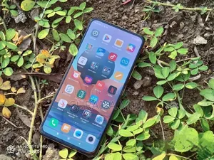 শাওমি রেডমি নোট ১০ প্রো ১২৮ জিবি ব্রোঞ্জ