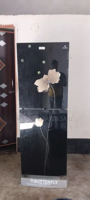 রানিং এলজি বাটারফ্লাই ফ্রিজ