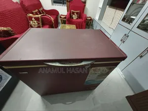 ইলেক্ট্রা ডিপ ফ্রিজ