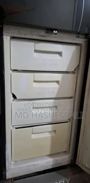 রানিং এলজি বাটারফ্লাই ফ্রিজ