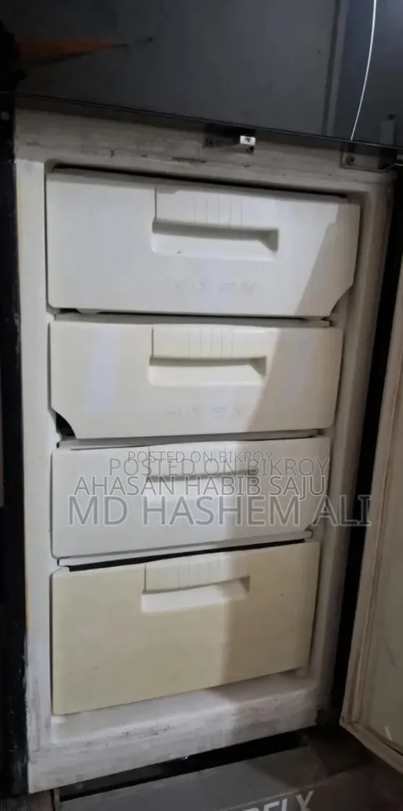 রানিং এলজি বাটারফ্লাই ফ্রিজ