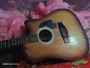 Acoustic Guitar