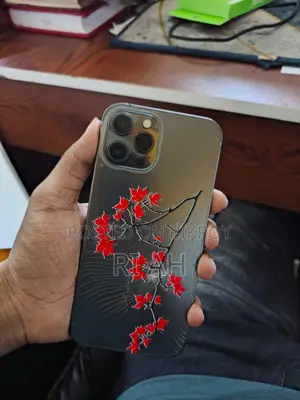 অ্যাপল আইফোন ১২ প্রো ম্যাক্স ২৫৬ জিবি ব্ল্যাক