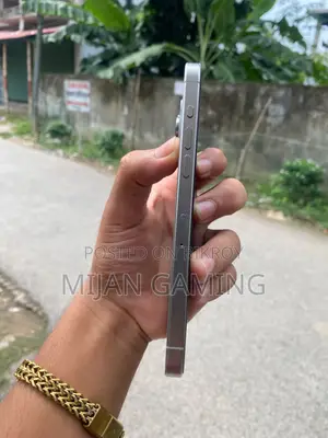 অ্যাপল আইফোন ১৫ প্রো ম্যাক্স ২৫৬ জিবি