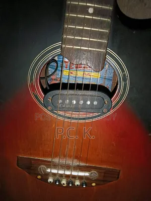 ইয়ামাহা গিটার