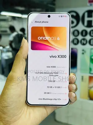 ভিভো এক্স৩০০ ২৫৬ জিবি
