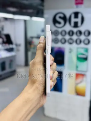 Vivo X300 256 GB