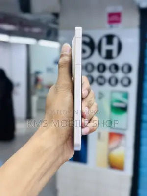 Vivo X300 256 GB