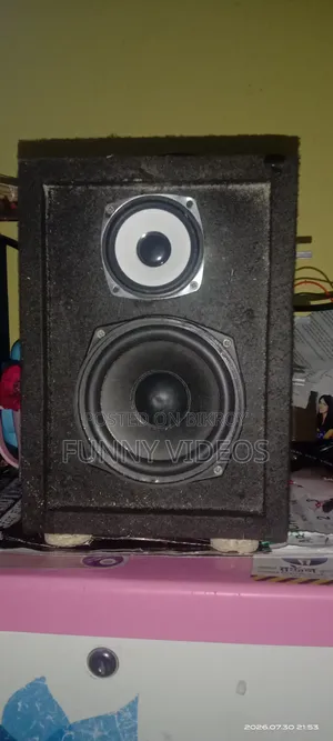 Custom Speaker