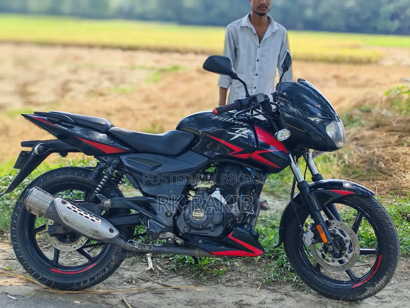 Bajaj Pulsar 150 2019 Red