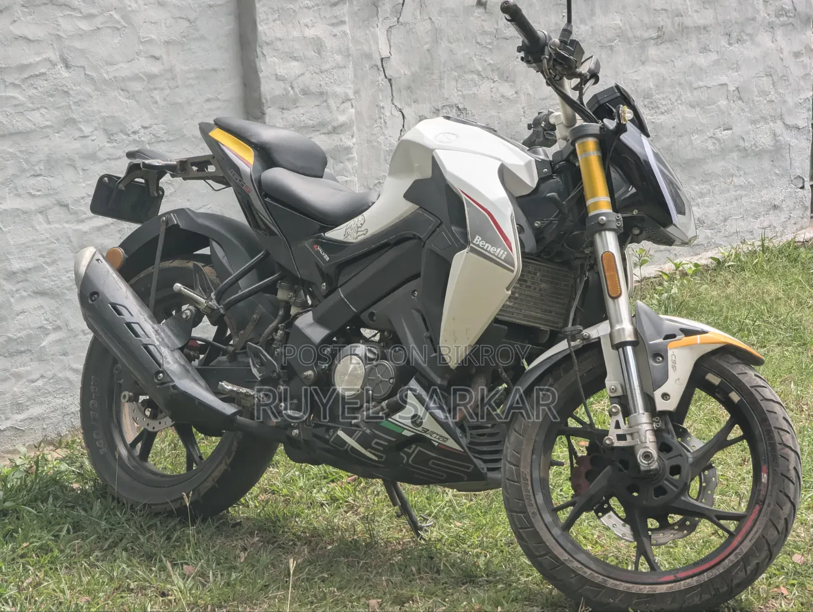 Benelli 2019 White