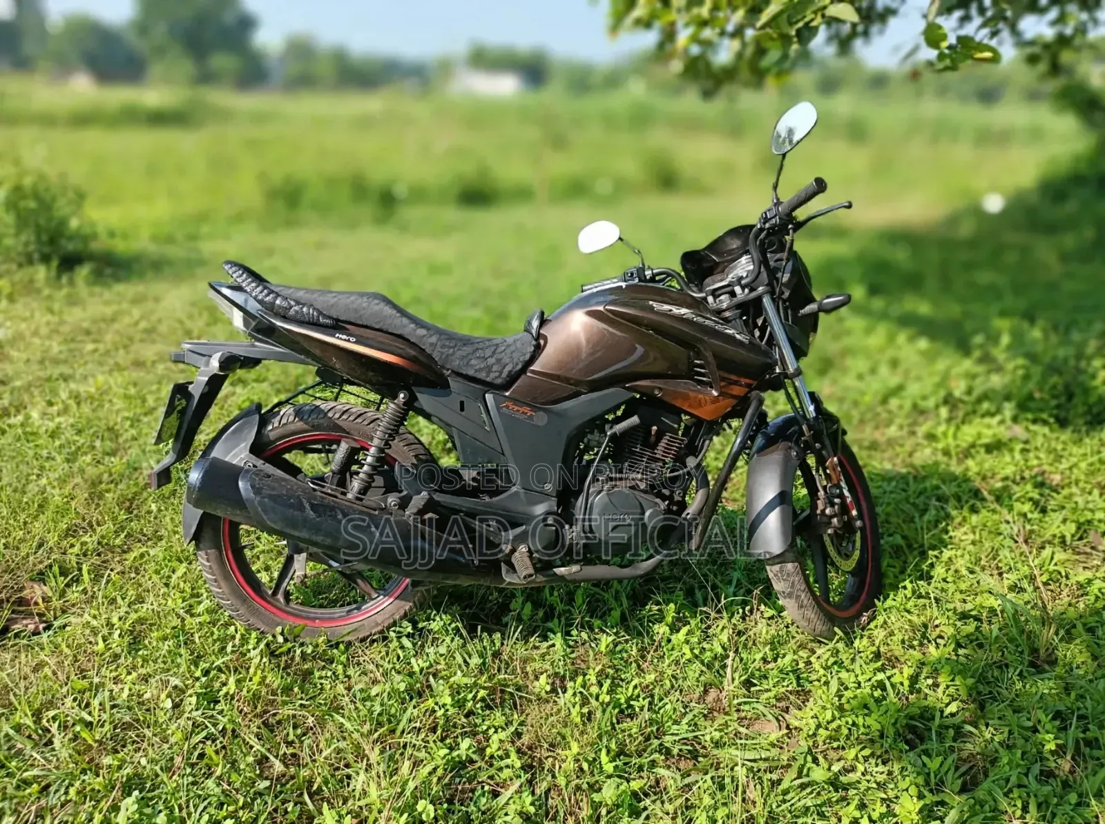 Hero Hunk 2018 Brown
