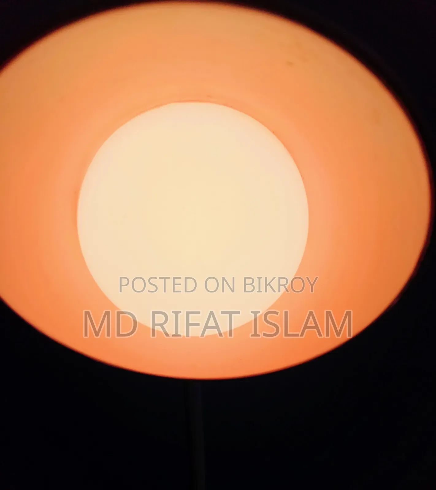 Table Lamp