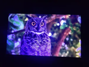 এলজি টিভি ৪৩ ইঞ্চি