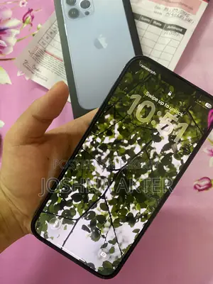 অ্যাপল আইফোন ১৩ প্রো ম্যাক্স ২৫৬ জিবি নীল