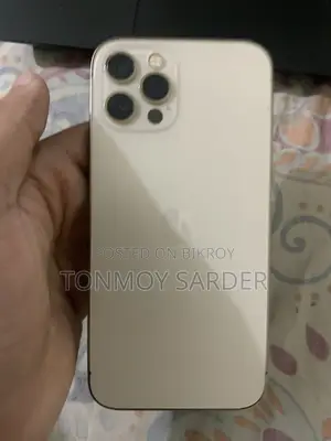 অ্যাপল আইফোন ১২ প্রো ২৫৬ জিবি রোজ গোল্ড