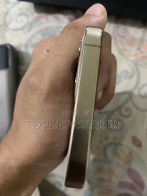 Apple iPhone 12 Pro 256 GB Rose Gold