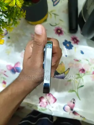 অ্যাপল আইফোন ১৩ প্রো ১২৮ জিবি নীল