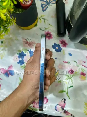 অ্যাপল আইফোন ১৩ প্রো ১২৮ জিবি নীল