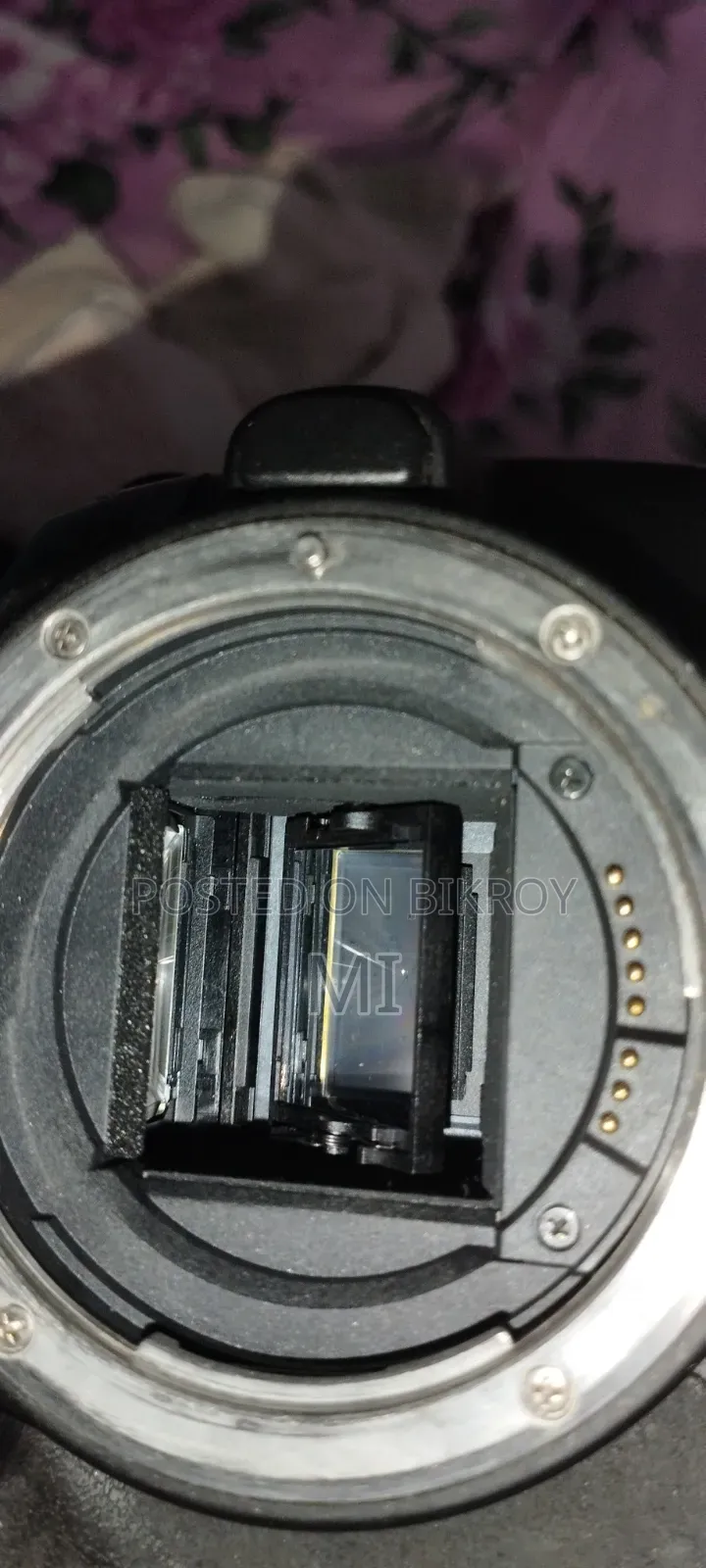 Canon 250D Camera + 18/55 + Box - URGENT SELL