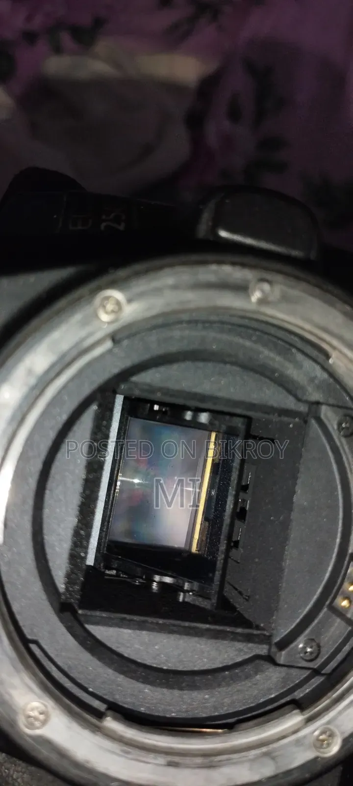 Canon 250D Camera + 18/55 + Box - URGENT SELL