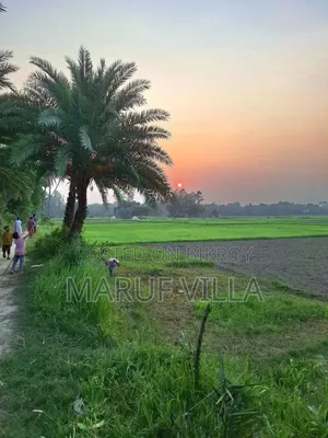 8 Satok Land for Sale in Comilla