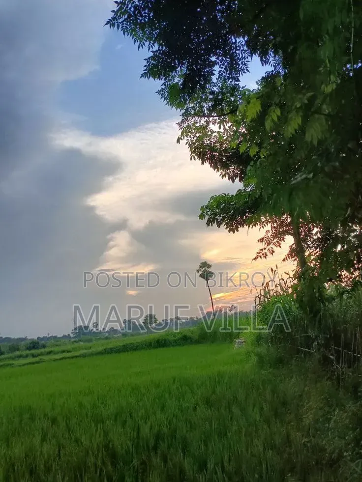 কুমিল্লায় ৮ শতক জমি বিক্রয় হবে