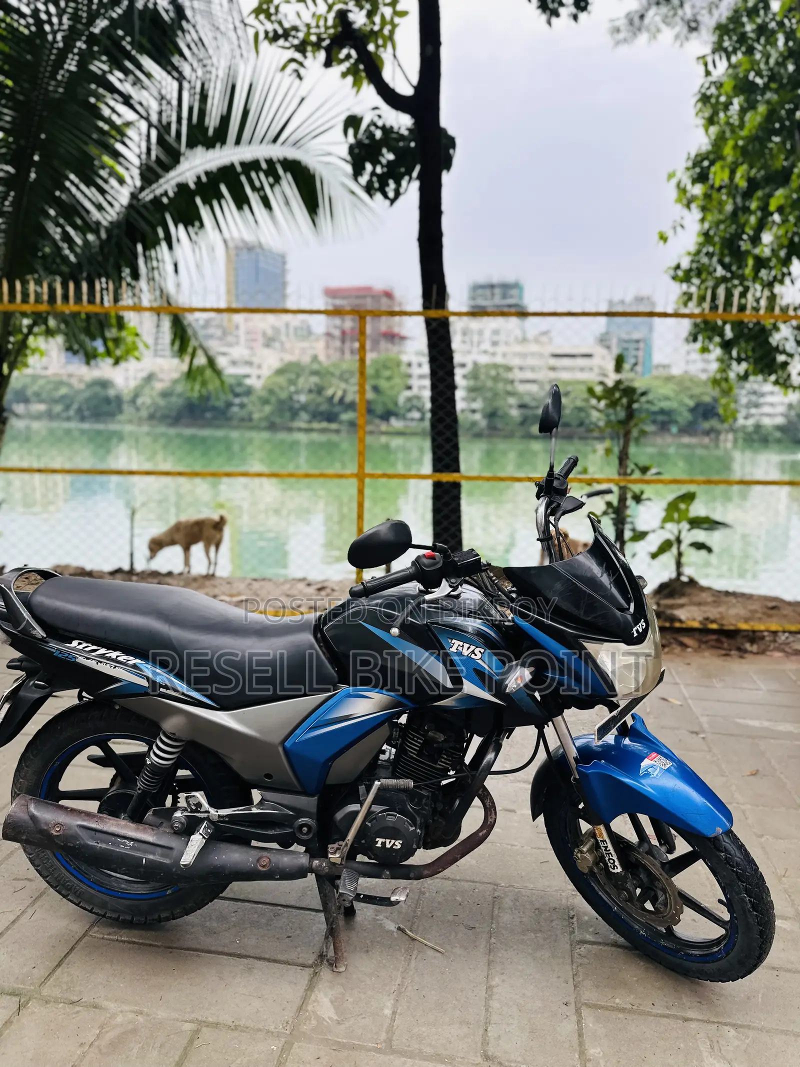 টিভিএস স্ট্রাইকার ১২৫ ২০১৮ ব্লু