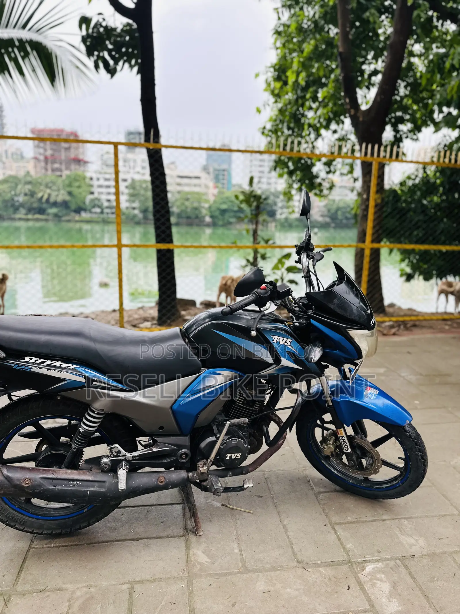 টিভিএস স্ট্রাইকার ১২৫ ২০১৮ ব্লু