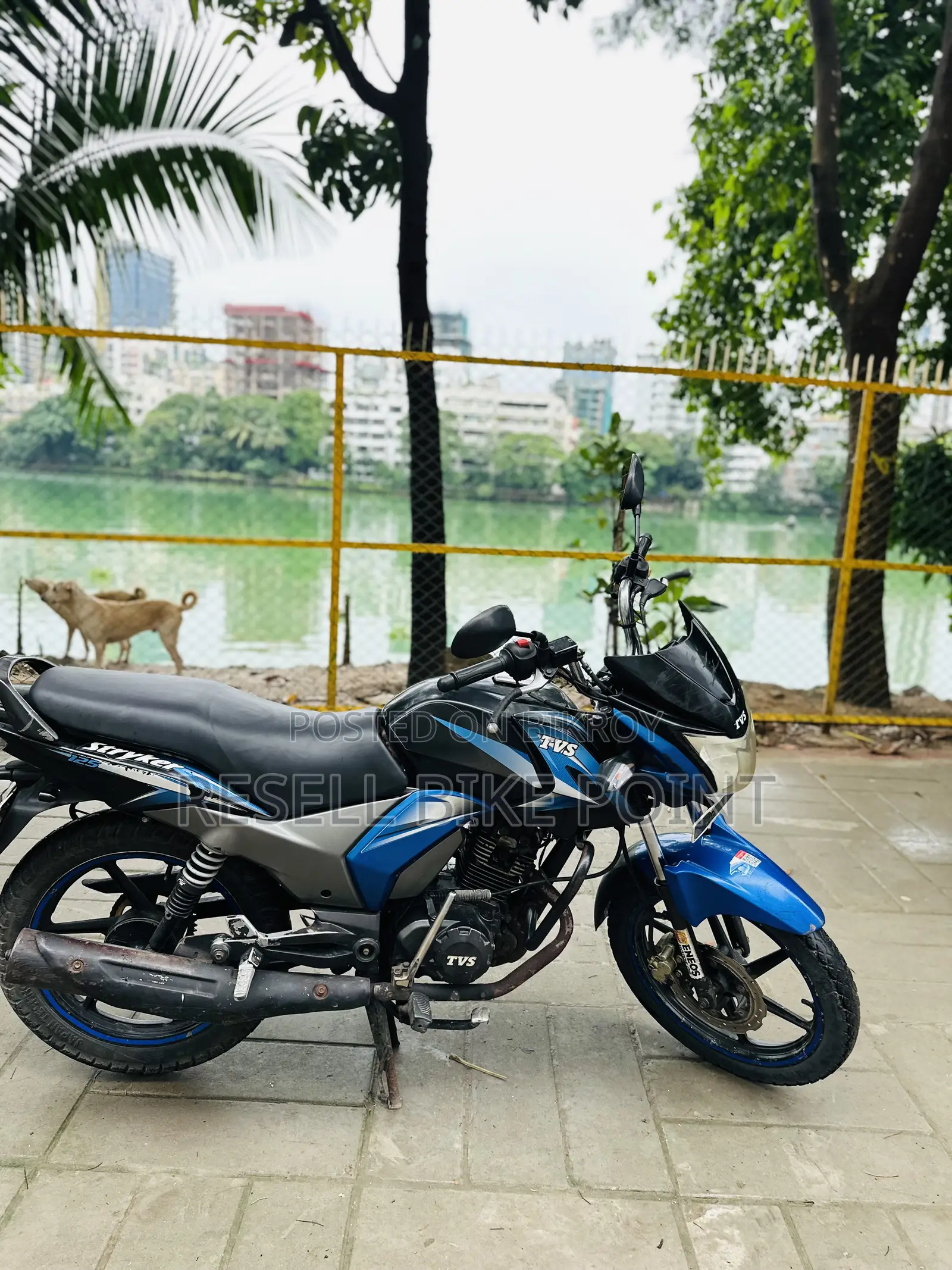টিভিএস স্ট্রাইকার ১২৫ ২০১৮ ব্লু