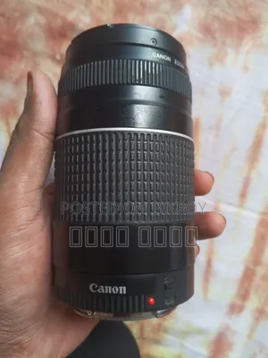 Canon 75-300mm