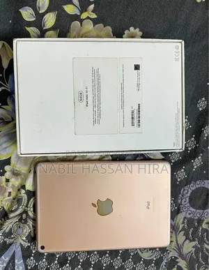 Apple iPad mini 5 64 GB Pink