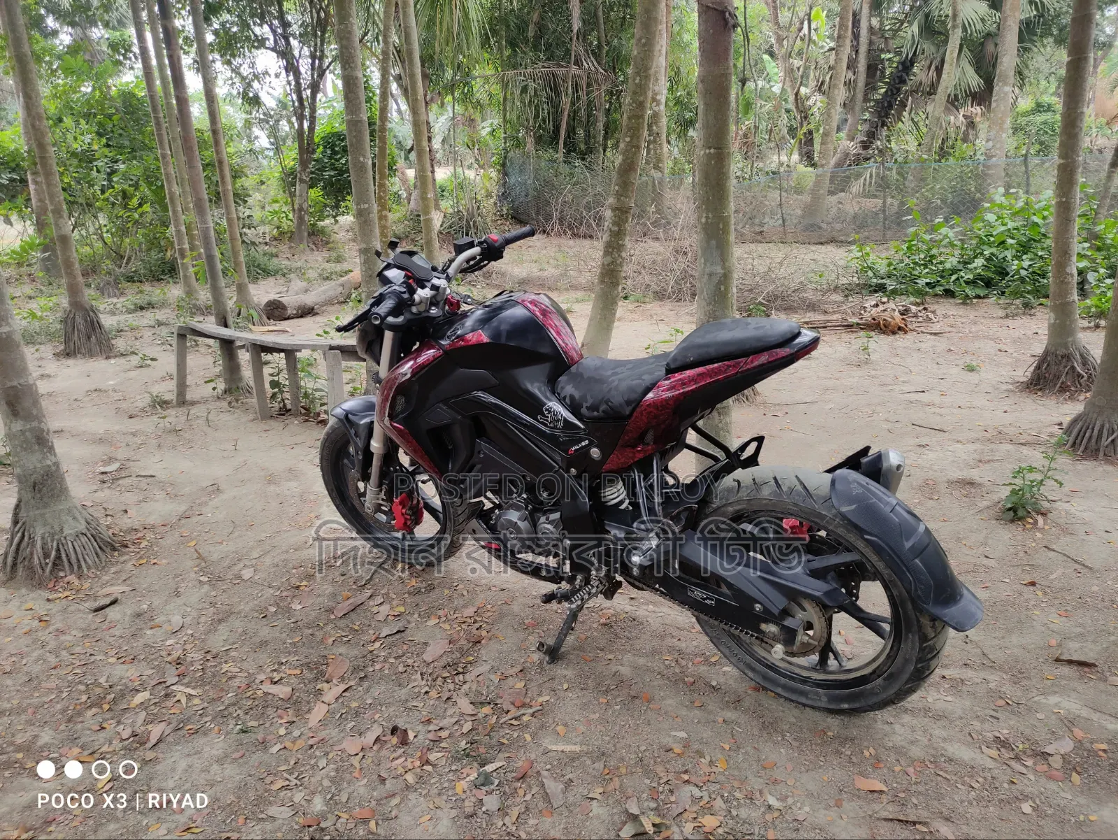 Benelli Riverside Beneli Cobra 2021 Red